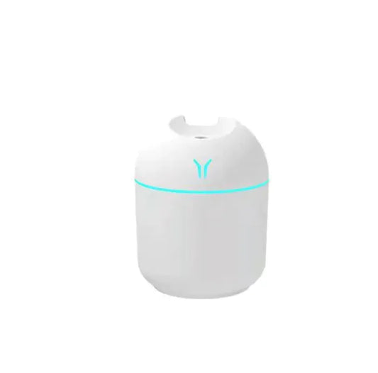 Budget Mini Diffuser