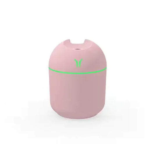 Budget Mini Diffuser